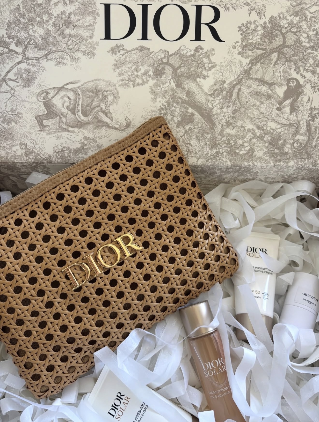 NEW Dior GWP Raffia Pouch - Image 2