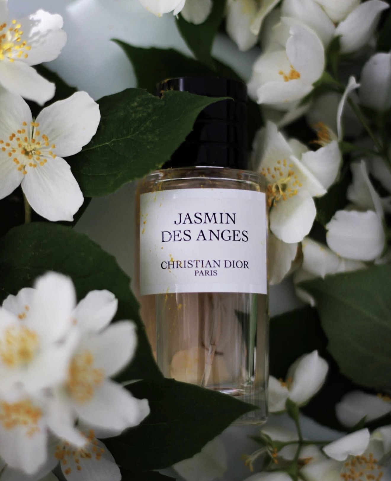 Dior Jasmin des Anges Unisex Eau de Parfum 30ml - Image 2