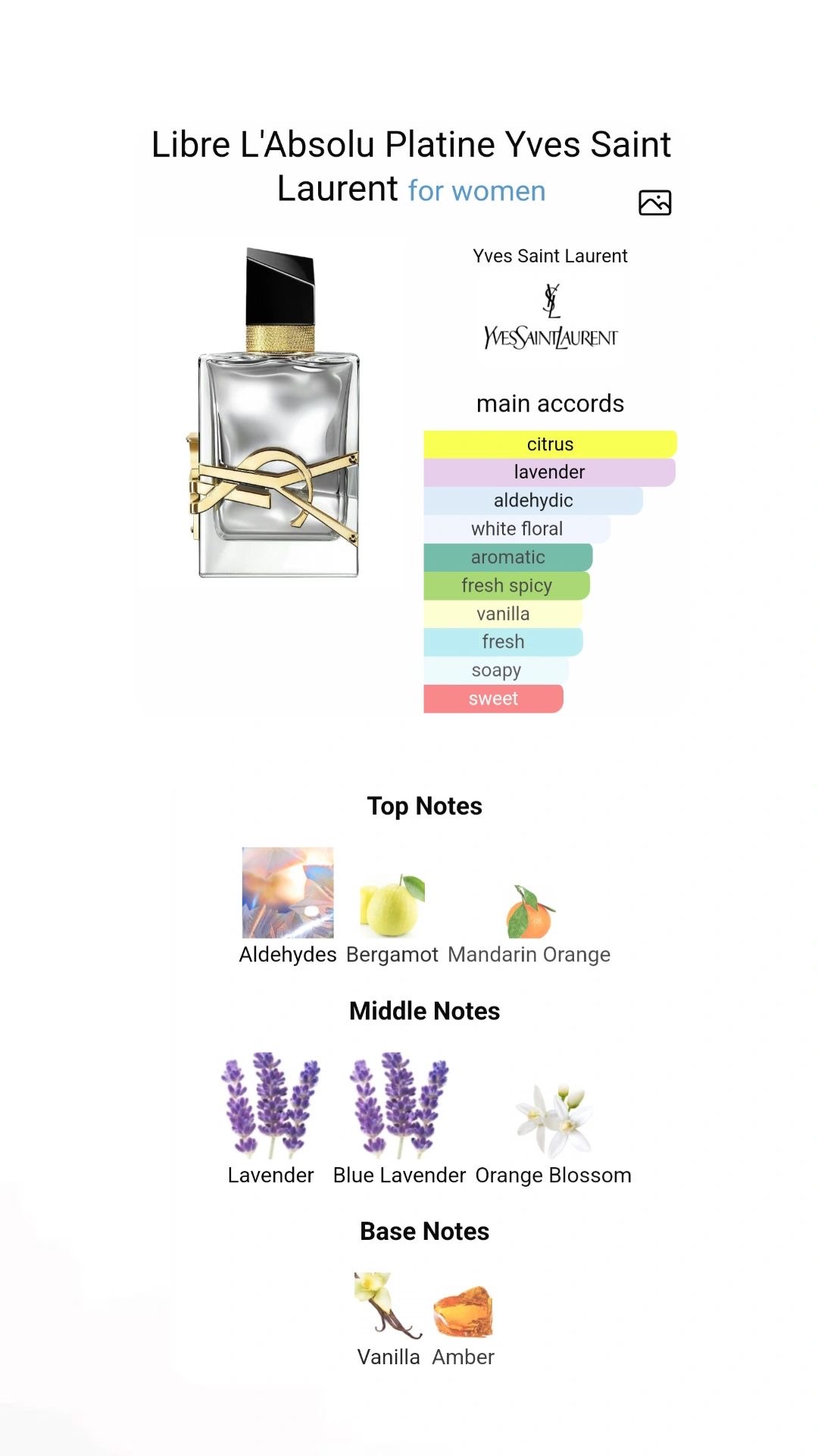 YSL L’Absolu Platine 50ml Brand New Sealed in a box - Image 6